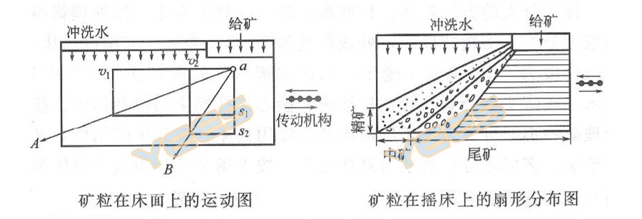 摇床的分带过程 摇床的分带过程